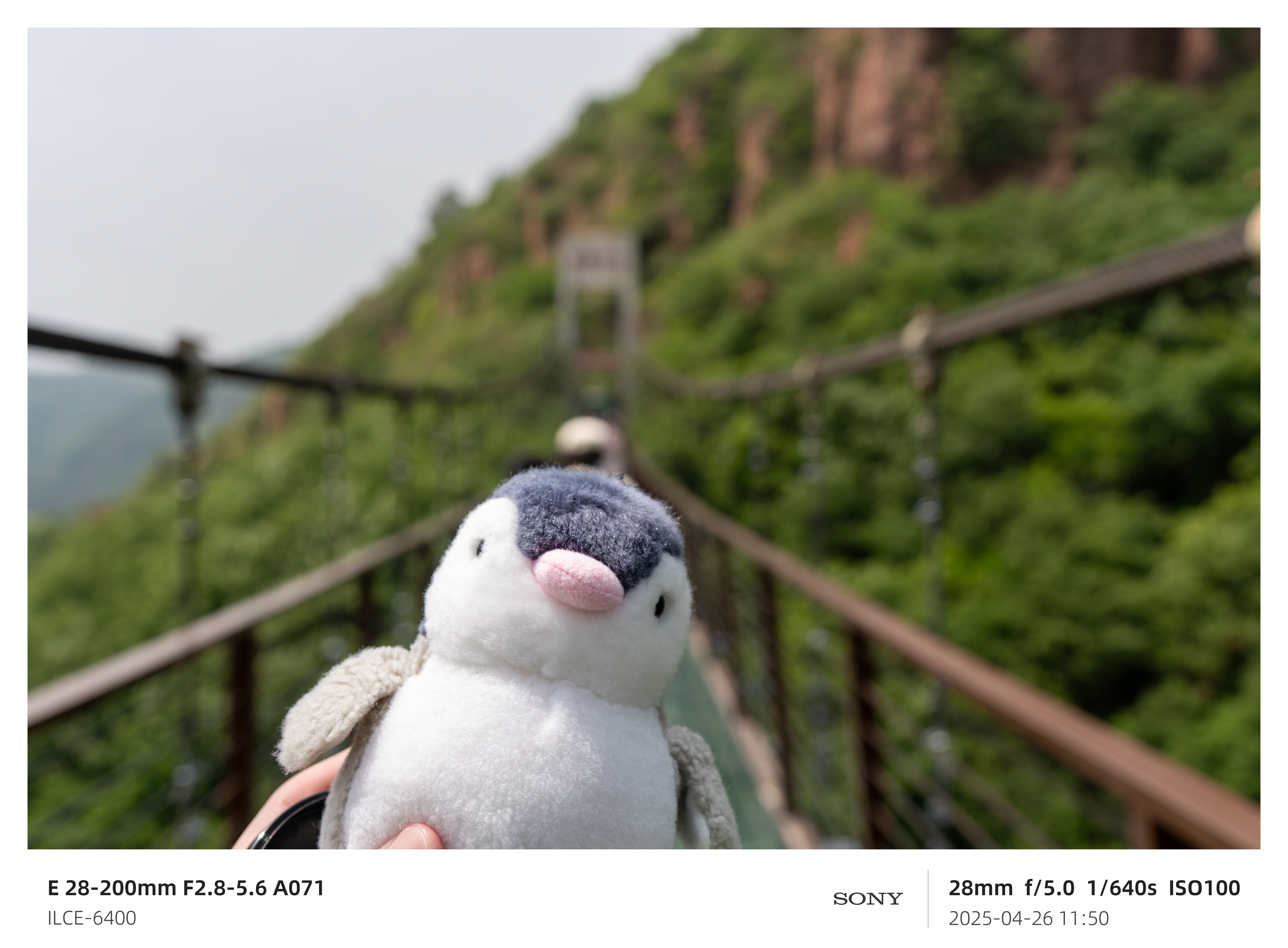 伏羲大峡谷
